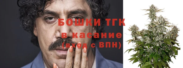 таблы Ельня