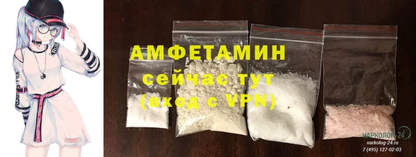 прущие грибы Елизово