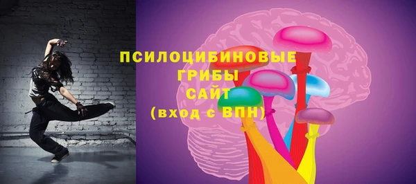 прущие грибы Елизово