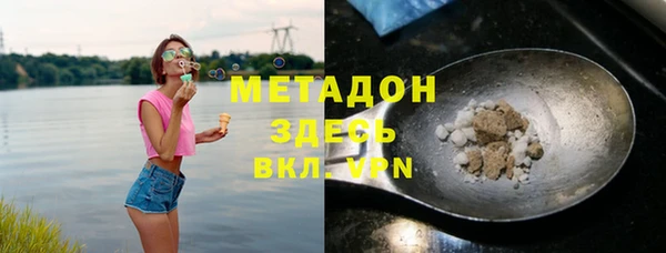 прущие грибы Елизово