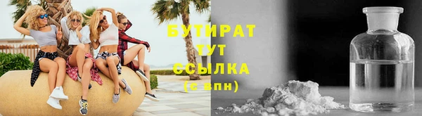 прущие грибы Елизово