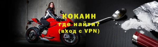 прущие грибы Елизово