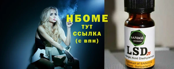 прущие грибы Елизово