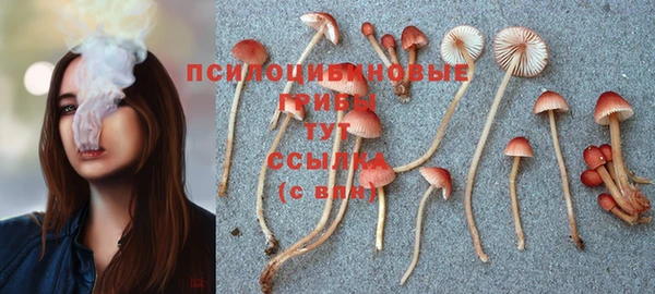 амфетамин Елабуга