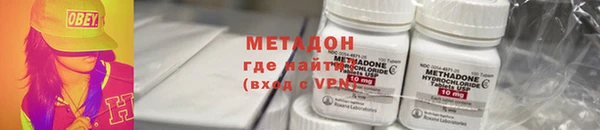 прущие грибы Елизово