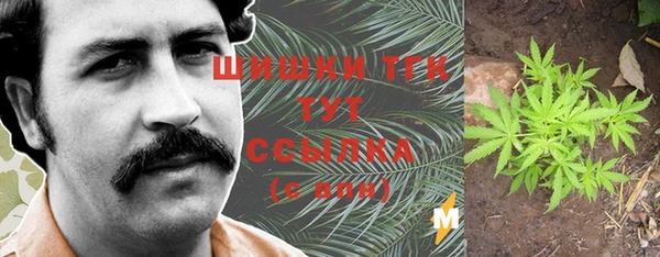 прущие грибы Елизово