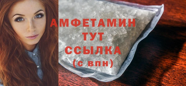 прущие грибы Елизово
