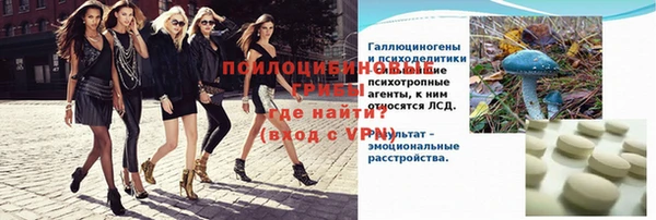 таблы Ельня