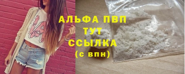 таблы Ельня