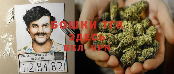 прущие грибы Елизово