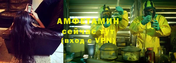 прущие грибы Елизово