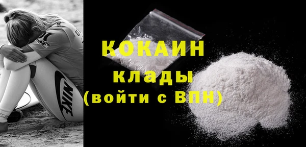 таблы Ельня